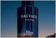 Sauvage Eau de Toilette iconic Dior mens fragrance DIO